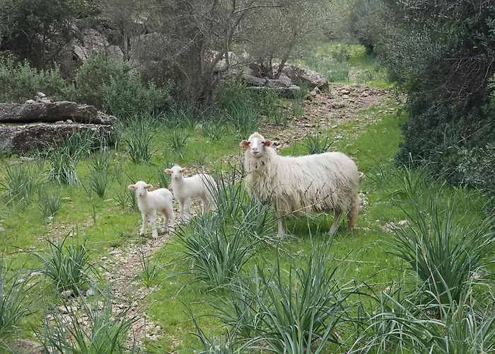 Agroturismo Finca Can Sec