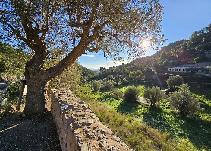 Agroturismo Finca Can Sec