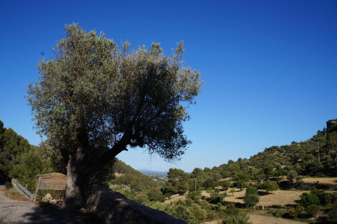 Séjour à la campagne Sec